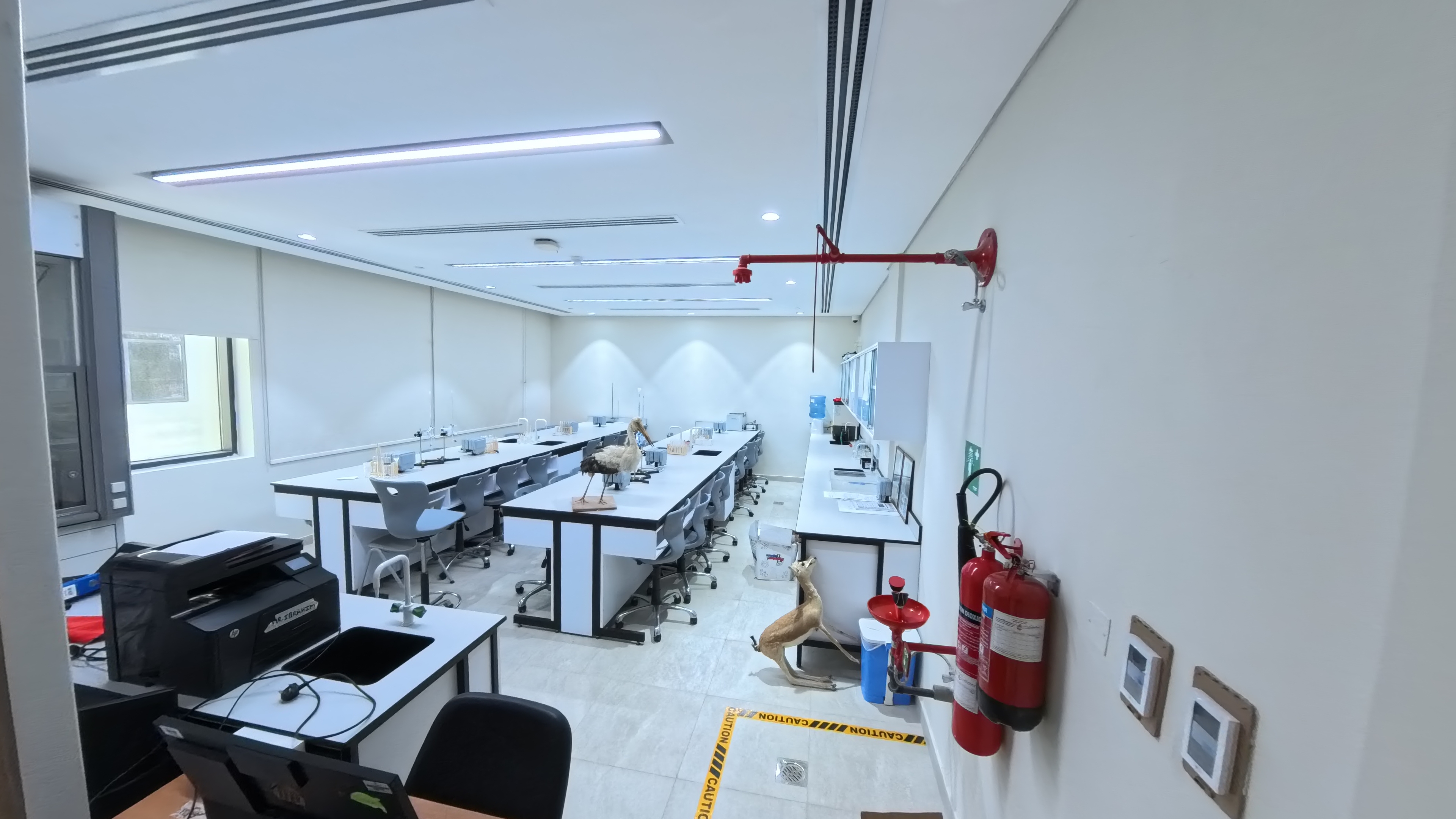 Ali Bin Abi Taleb School