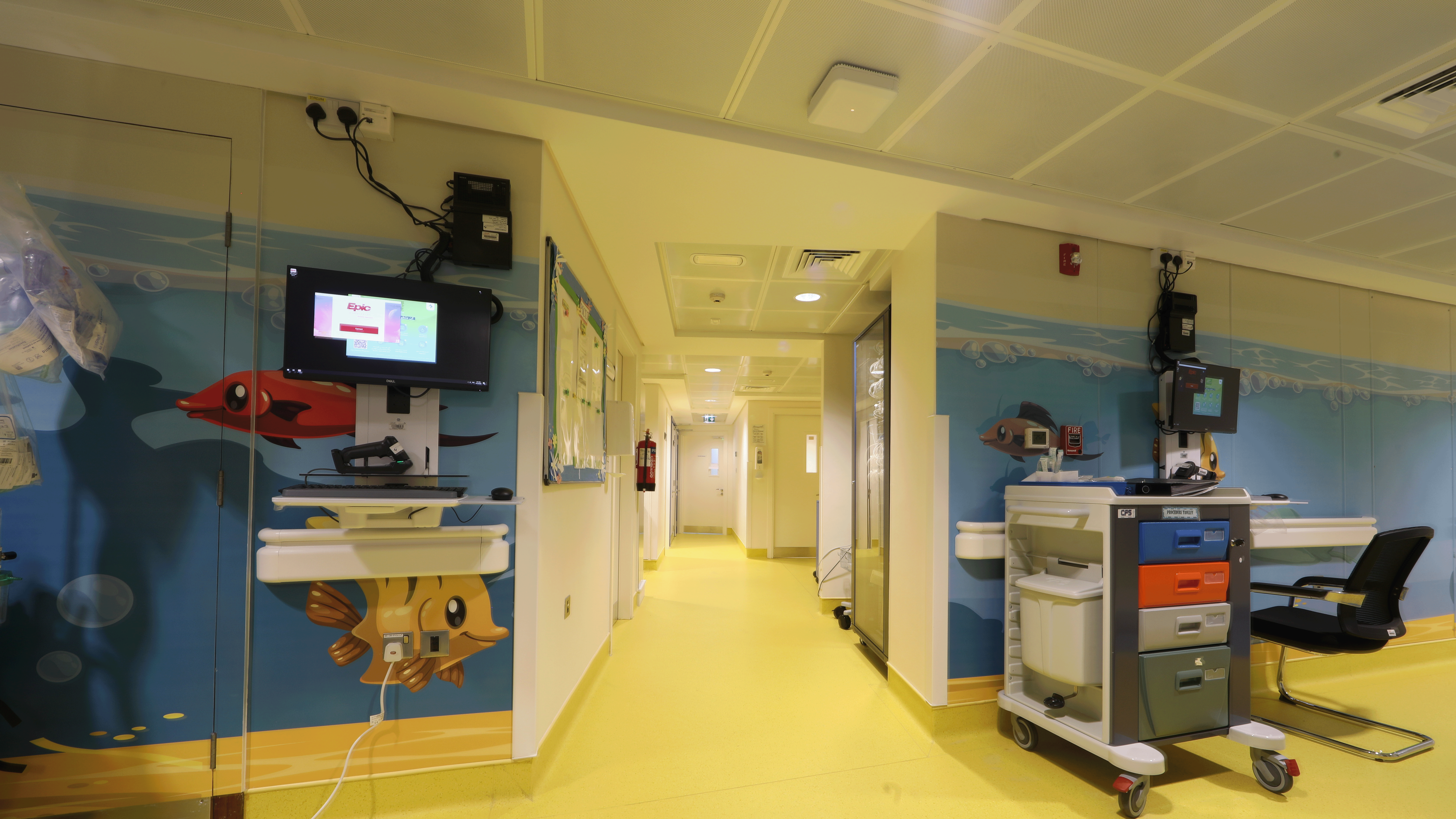 Dubai Hospital